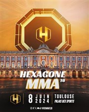 Hexagone MMA 18 Palais des Sports de Toulouse Affiche