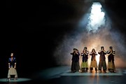 Jin Xing Dance Theatre Shanghai : Wild Flowers Thtre des Champs Elyses Affiche