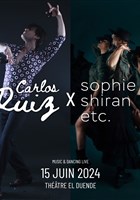 Carlos Ruiz x Sophie Shiran etc