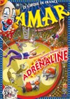 CIRQUE AMAR 