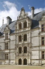 Chateau d'azay-le-rideau 