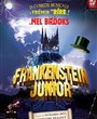 Frankenstein junior