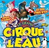 Le Cirque sur l'Eau - Chapiteau Le Cirque sur l'Eau à Chalon sur Saône