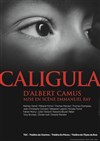 Caligula - Théâtre de l'Epée de Bois - Cartoucherie