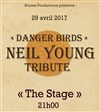 Danger Birds - The Stage