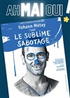 Yohann Métay dans Le Sublime Sabotage - Le Shalala