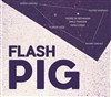 Flash Pig - Studio de L'Ermitage
