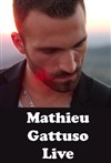 Mathieu Gattuso - Les Arts dans l'R