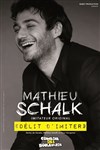 Mathieu Schalk dans Délit d'imiter - Le Métropole