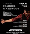 Caminos flamencos - Théâtre El Duende