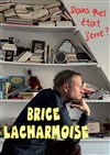 Brice Lacharmoise dans Dans quel état j'erre ? - Théâtre Le Bout