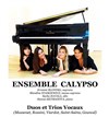 Ensemble Calypso : Concert Découverte - Temple du Foyer de l'Âme