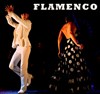 Al andalus flamenco nuevo - fuego - Espace Miramar