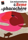 Les Mésaventures de Beme le Phacochère - Aktéon Théâtre 