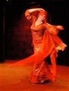 Awadi danse d'Egypte - Théâtre Nout