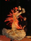 Vuelo Flamenco - MJC Louise Michel