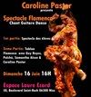 Spectacle Flamenco - Salle Laure Ecard