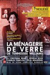 La ménagerie de verre - Théâtre Armande Béjart