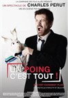 Charles Perut dans Un Poing C'est Tout ! - Check Point Café Théâtre