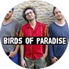 Birds of Paradise - Olivier Py trio - Cabaret Vauban