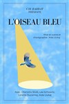 L'oiseau bleu - Théâtre Pixel