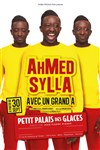 Ahmed Sylla dans Avec un grand A - Petit Palais des Glaces