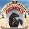 Légende du Cheval - Chapiteau du Haras National de Montier en Der