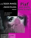 Piaf, une étoile dans la nuit - Salle de spectacle d'Aime