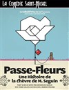 Passe-fleurs, une histoire de la chèvre de M.Seguin - La Comédie Saint Michel - grande salle 