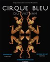 Le cirque bleu du Vietnam - Théâtre Alexandre Dumas