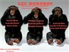 Les bonobos - Théâtre des Voraces