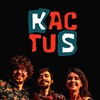 KactuS - Le Grenier de Bougival