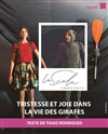 Tristesse et joie dans la vie des girafes - La Scala Provence - salle 600