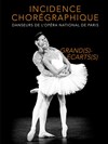 Incidence Chorégraphique - Théâtre Le Blanc Mesnil - Salle Barbara