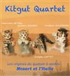 Concert Kitgut Quartet - Théâtre de la Tour Eiffel