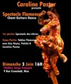 Spectacle flamenco - La Nouvelle comédie