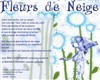 Fleurs de Neige - Café Théâtre le Flibustier