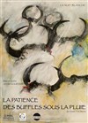 La patience des buffles sous la pluie - Théâtre de la Cité
