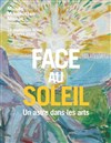 Visite guidée : Face au soleil, un astre dans les arts, exposition - Musée Marmottan Monet