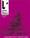 Ensemble Cairn/Sylvain Coher - Atelier du plateau