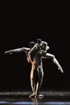 Malandain Ballet Biarritz - Chaillot - Théâtre National de la Danse / Salle Jean Vilar