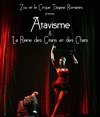 Atavisme & La Reine des chats et des gitans - Cirque Tzigane Romanès