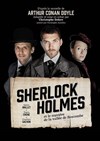 Sherlock Holmes et le mystère de la vallée de Boscombe - Théâtre de L'Arrache-Coeur - Salle Vian