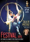 Festival des Stars de la Magie et des Etoiles du Cirque 2015 - Chapiteau du Cirque Alexis & Anargul Gruss à Saint Jean de Braye