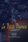 Le Petit Prince - Théâtre Essaion