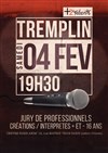 Tremplin Plus2talents - Théâtre du Centre d'Animation Mathis