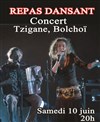 Repas concert tzigane - Centre culturel Wladimir d'Ormesson