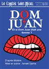 Dom Juan - Et si Dom Juan était une femme ? - La Comédie Saint Michel - grande salle 