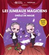 Les jumeaux magiciens dans Drôle de magie - Théâtre BO Saint Martin