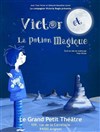 Victor et la potion magique - Le Grand petit théâtre